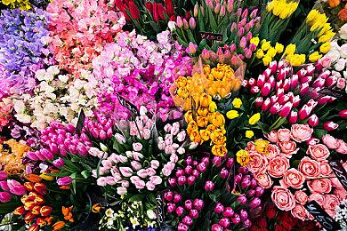 《罗马帝国战争》首部预告片公布 征战四方！